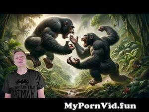 Chimpanzee Sex - Surprising Truth About Chimpanzee Mating Behavior from sex with chimpanzee  Watch Video - MyPornVid.fun