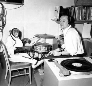 Bob Crane Porn - bob crane moive - Google Search