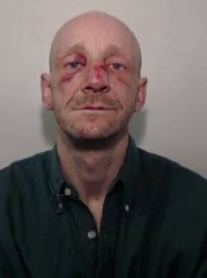 Doggy Sex Porn Face Distressed - Man jailed for having sex with his dog and possessing indecent images of  children