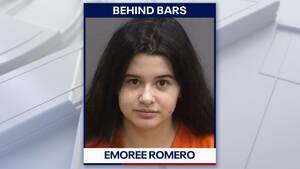 Forced Bestiality Porn - Hillsborough woman arrested on more than 100 counts of child pornography,  bestiality charges: Deputies