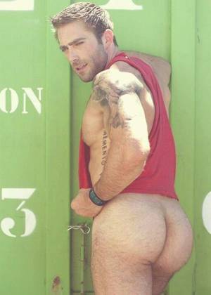 Gay Porn Hairy Butt - Hairy men, gay men and other stuff