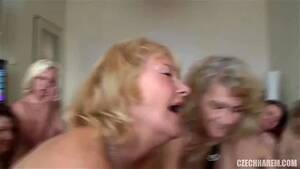 Mature Milf Orgy - Watch Orgy Mature Harem - Harem, Czech Harem, Milf Porn - SpankBang