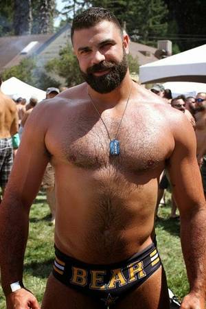 hairy bear - MEN PORN STAR: Hairy bear collect