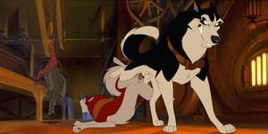Balto Yiff Porn - e621 animal_genitalia animal_penis animal_pussy ass_to_ass balls balto  balto_(film) black_fur blood blood_drip blue_eyes canine
