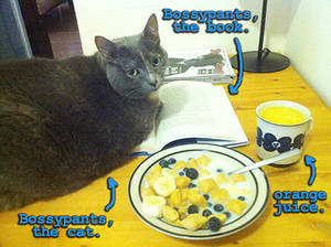 Ever Pussy Youngest Russian Blue - This is why I never read. Also, laziness.