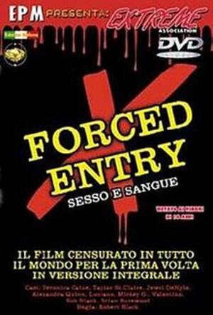 Extreme Forced Porn - Forced Entry (2002 film) - Wikipedia