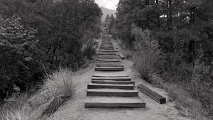 colorado springs cheating interracial - The Max Vert October Challenge Is Getting Out of Hand