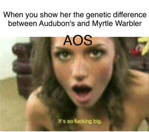 Brazilian Girls Porn Memes - Brazilian Girls Porn Memes | Sex Pictures Pass