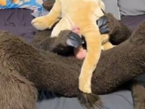 Gay Plushophilia Porn - Plushophilia Videos Sorted By Their Popularity At The Gay Porn Directory -  ThisVid Tube