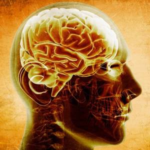 Body Manipulation Porn - 