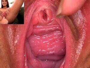 Best Porn Close Ups - A Close Up Look at the Best Porn Videos at xecce.com