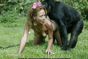 Girl Lets Monkey Fuck Her - Girl fucks with a monkey - XXX Sex Images. Comments: 5