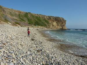 embarrassed nude beach - Red Alert: Nude Sunbathing!