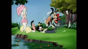 Gauy Porn Animaniacs - Animaniacs Dot Warner Clip Tagme - Lewd.ninja