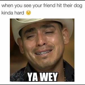 Hispanic Black Celebrity Porn Captions - No mames wey!