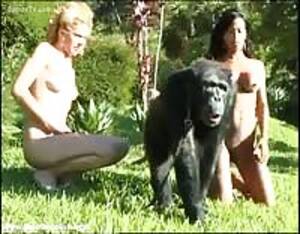Gorillas Fucking Girls - Ape gorilla - Extreme Porn Video - LuxureTV