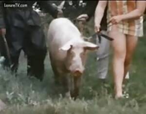 Classic Farm Porn - Vintage farm movie - Extreme Porn Video - LuxureTV