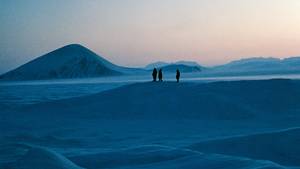 foot caning insex galleries - Slide Show|6 Photos