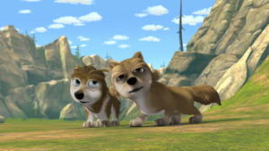 Fleet Alpha And Omega Porn - 