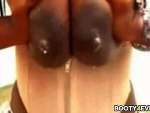 lactation pregnant sex milk gif - Ebony Chick With Huge Lactating Breasts