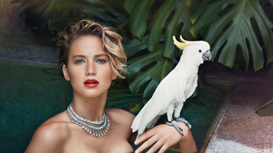 Jennifer Lawrence Porn Hunger Games - Exclusive: Jennifer Lawrence Speaks About her Stolen Photos | Vanity Fair