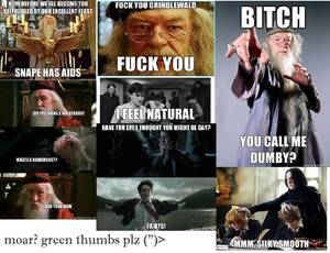 Funny Harry Potter Porn - 