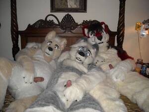 Furry Party Porn - furry orgy - Murrsuit | MOTHERLESS.COM â„¢
