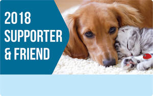 Arizona Furry Porn - Attend an Event