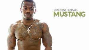 Mustang Gay Porn - Mustang â€“ My Gay Porn Star List