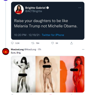 Michelle Obama Pussy Porn - Melania is an example for girls. : r/WhitePeopleTwitter