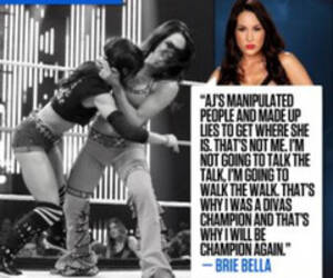 Aj Lee Hardcore Porn - Aj Lee Quotes. QuotesGram