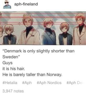 Hetalia Denmark X America Porn - Nordics, Hetalia
