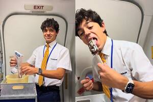 Jennifer Aniston Squirt Porn - Flight Attendant Fired After Baking a Cake Mid-Flight