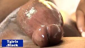 black shemale masturbate - Sexy black solo amateur shemale masturbating - XVIDEOS.COM