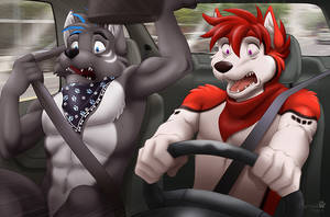 Cars Furry Porn - First time drive a car.