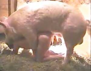 Cochon - Cochon - Video Porno Extreme - LuxureTV