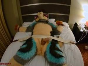 Furry Sex Porn Gif Vibrator - OVERLOAD MILKING ROWEN'S FURSUIT