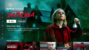 Netflix Porn - Channel 4 CEO: TV is fighting \