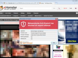Hamster Porn Site More - xHamster and other porn sites hit by massive malware attack | IBTimes UK