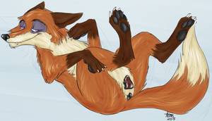 Anatomically Correct Fox - Anatomically correct furry fox porn - Conditional wolftacos jpg 1280x733