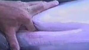 Fucking Dolphin Porn - dolphin Animal Porn