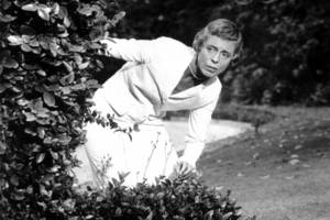 Nancy Kulp Porn - Nancy Kulp just walked by!