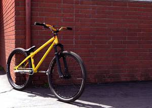 Griffin Chris Porn Wheel - Sexiest DJ/Street bike/frame - Pinkbike Forum