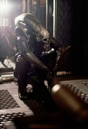 Alien 1979 Xenomorph Costume Porn - 
