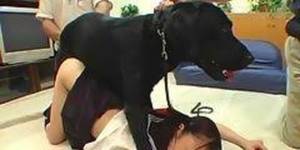 Bestiality Shark Porn - There are porn sites which upload videos having bestiality which not only  violate animal's rights but