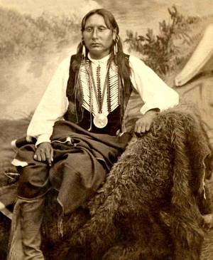indians raid ranchers wife fuck - A superb portrait of Big Tree, Kiowa Chief. Photo: ca. 1870s.