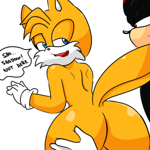 Millie Sonic Porn - Rule34 - If it exists, there is porn of it / miles prower, shadow the  hedgehog, tails, tailsko / 3302979