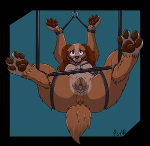 Lady And The Tramp Porn - e621 4_toes anatomically_correct anatomically_correct_pussy  animal_genitalia animal_pussy anus ball_gag bdsm bondage bound brown_anus  brown_eyes brown_pussy ...