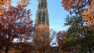 Convince Ms Candy Girl Porn - Most Popular