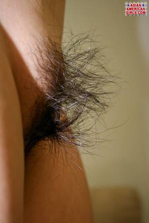 asian pussy close up - Asian kitty slips out of her see through black lingerie and shows her hairy  muff